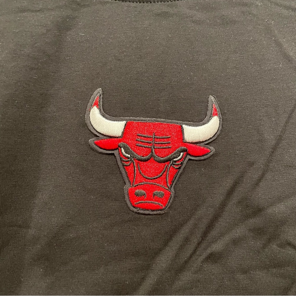 Urban Outfitters NBA Chicago Bulls Embroidered Baby Tee Women’s Size Medium - Picture 5 of 8
